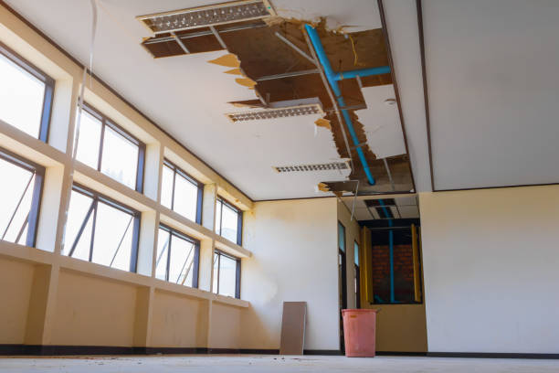 Best Residential water damage restoration  in Rolling Hills, CA