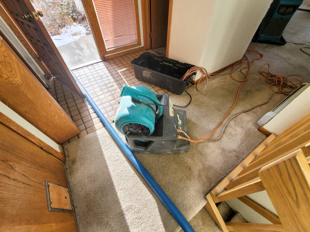 Best Carpet water damage restoration  in Rolling Hills, CA