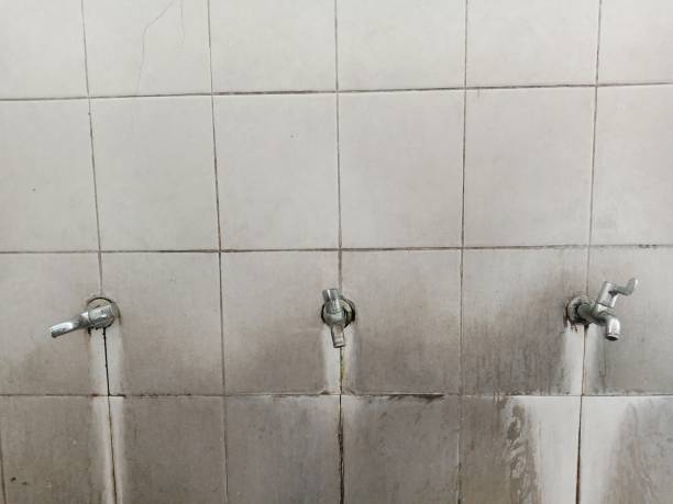 Best Water damage restoration near me  in Rolling Hills, CA