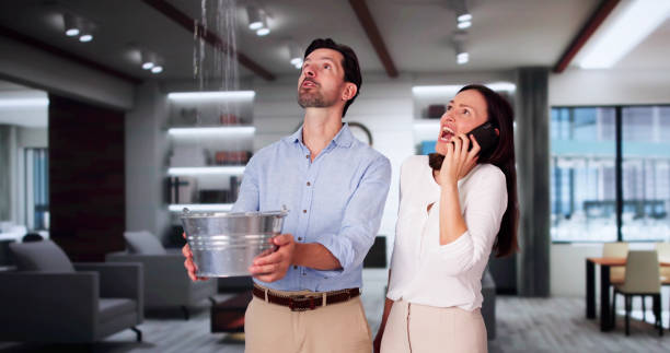 Rolling Hills, CA Water damage restoration Company