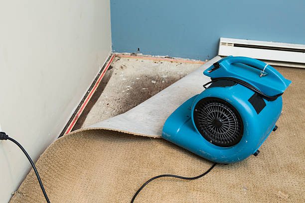 Best Basement water damage restoration  in Rolling Hills, CA
